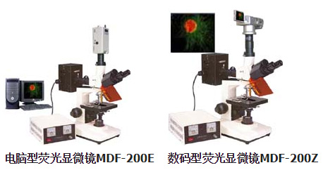 數碼型MDF-200Z